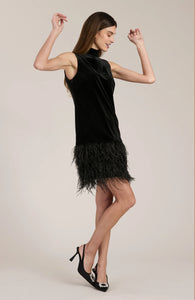 Tyler Boe Victoria Velvet Dress w Feather Trim