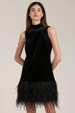 Load image into Gallery viewer, Tyler Boe Victoria Velvet Dress w Feather Trim
