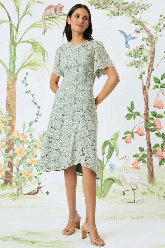 maggy london floral lace dress Maggy London Women's Pleat Floral-Lace Fit-and-Flare Dress