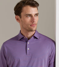 Load image into Gallery viewer, Peter Millar Rawlins Performance Jersey Polo
