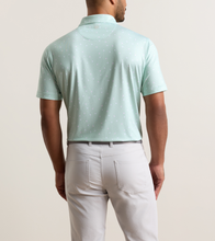 Load image into Gallery viewer, Peter Millar Skull It Performance Jersey Polo
