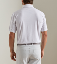 Load image into Gallery viewer, Peter Millar Etc Stripe Performance Jersey Polo

