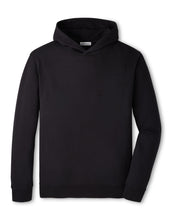 Load image into Gallery viewer, Peter Millar Oasis Pullover Hoodie
