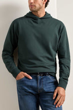 Load image into Gallery viewer, Peter Millar Oasis Pullover Hoodie
