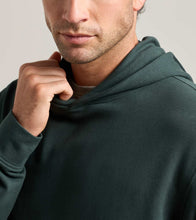Load image into Gallery viewer, Peter Millar Oasis Pullover Hoodie
