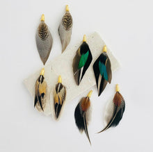 Load image into Gallery viewer, Mackenzie Harper Katie Feather Earring
